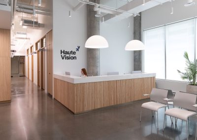 HAUTE VISION AND HAUTE DERMA